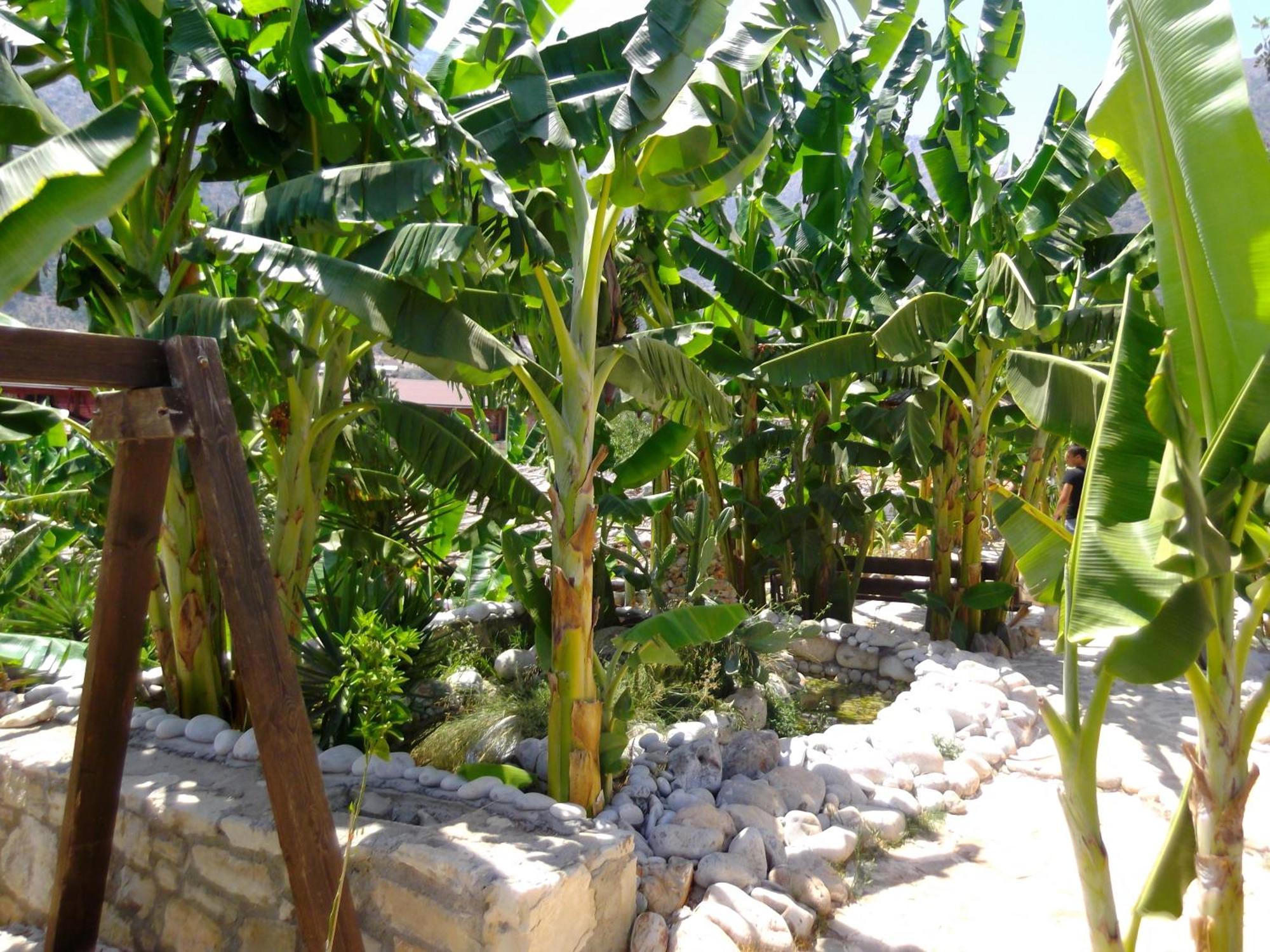 Bali  Stone Village Hotel Apartments מראה חיצוני תמונה
